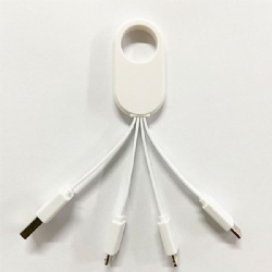 4-in-1 Charging Cable