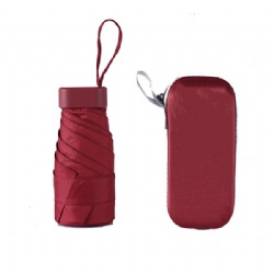 Mini Travel Sun Umbrella with Case