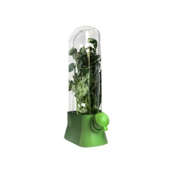 Premium Herb Keeper for Refrigerator – Large