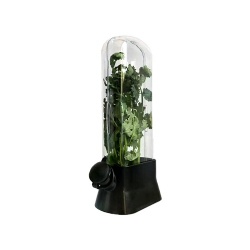 Premium Herb Keeper for Refrigerator – Large