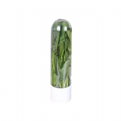 Premium Herb Keeper for Refrigerator – Small