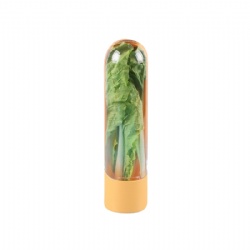 Premium Herb Keeper for Refrigerator – Small