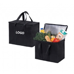 Non-Woven Insulated Cooler Bag