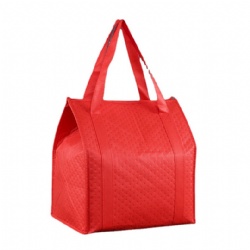Non-woven Cooler Bag