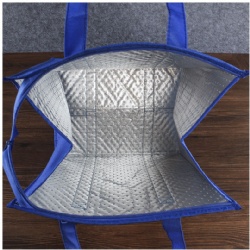 Non-woven Cooler Bag